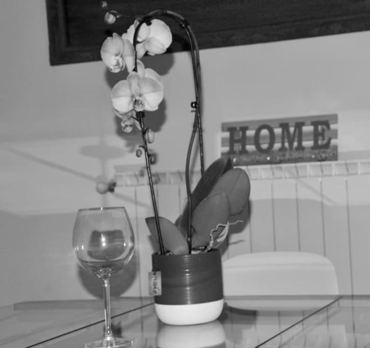 Brand New Apartment Florenz Exterior foto